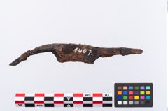 Foto von Eisengriffangelmesser (NHMW-PRAE-001407)